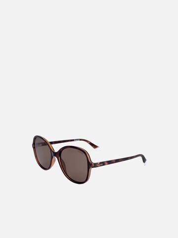 Polaroid Sunglasses in Brown: front