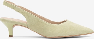 žalia RYŁKO Basutės: priekis