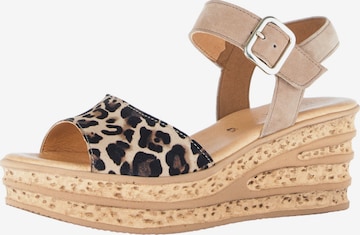 Sandales GABOR en beige : devant