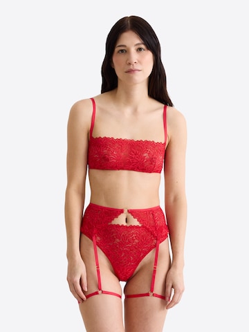 Porte-jarretelles 'Dreamy Lace' Erlich Textil en rouge : devant