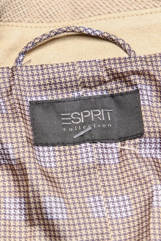 Esprit Collection Blazer S in Beige