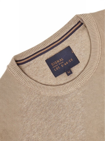 Pull-over ' ViceSi ' Signal en marron