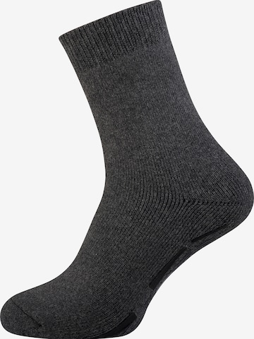 Nur Der Socks in Grey: front