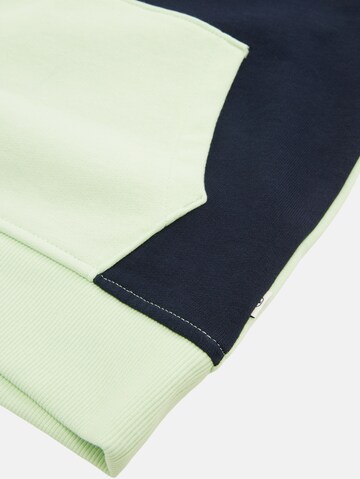 TOM TAILOR Sweatshirt in Groen