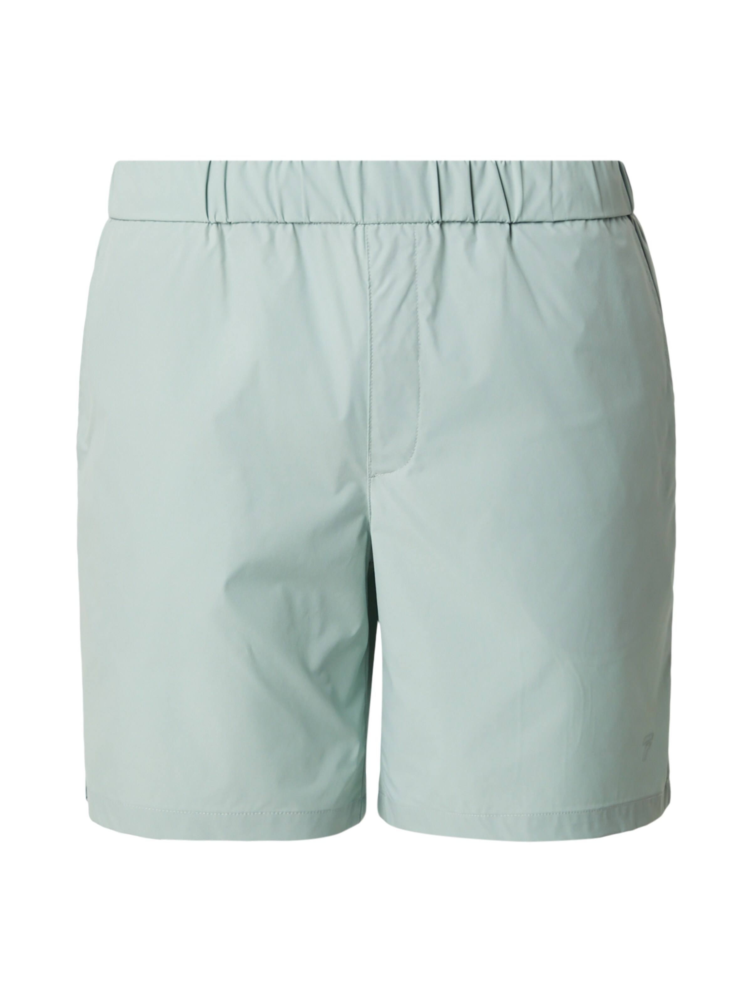 DAN FOX APPAREL Штаны 'Jonte' в размере 31-32 в Мятный, Обзор товара