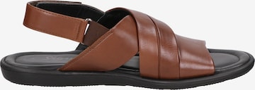 SIOUX Sandals ' Milito ' in Brown
