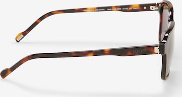 Lunettes de soleil JOOP! en marron