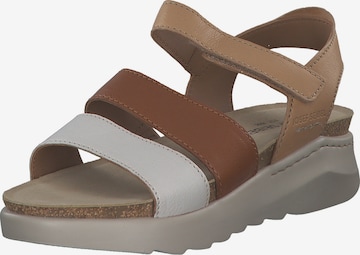 JOSEF SEIBEL Sandale 'Celine' in Braun: Vorderseite