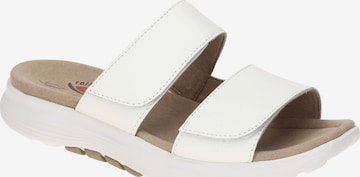 GABOR Mules in White: front