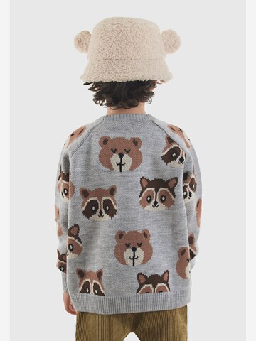 Pull-over ' CFF-25S-065 ' Denokids en gris