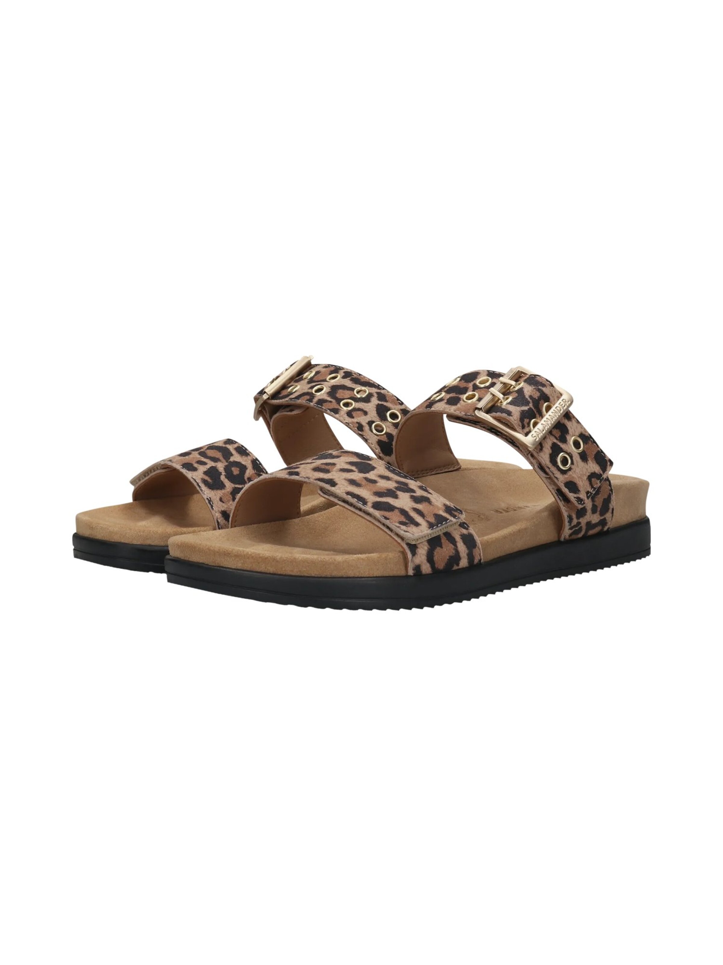 SALAMANDER Mules in Brown