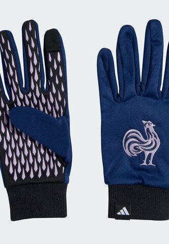 Gants de sport 'Frankreich Feldspieler' ADIDAS PERFORMANCE en bleu