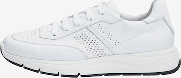 LLOYD Platform trainers 'ECHO LUXE' in White: front