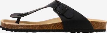 The Divine Factory Mule in Black: front