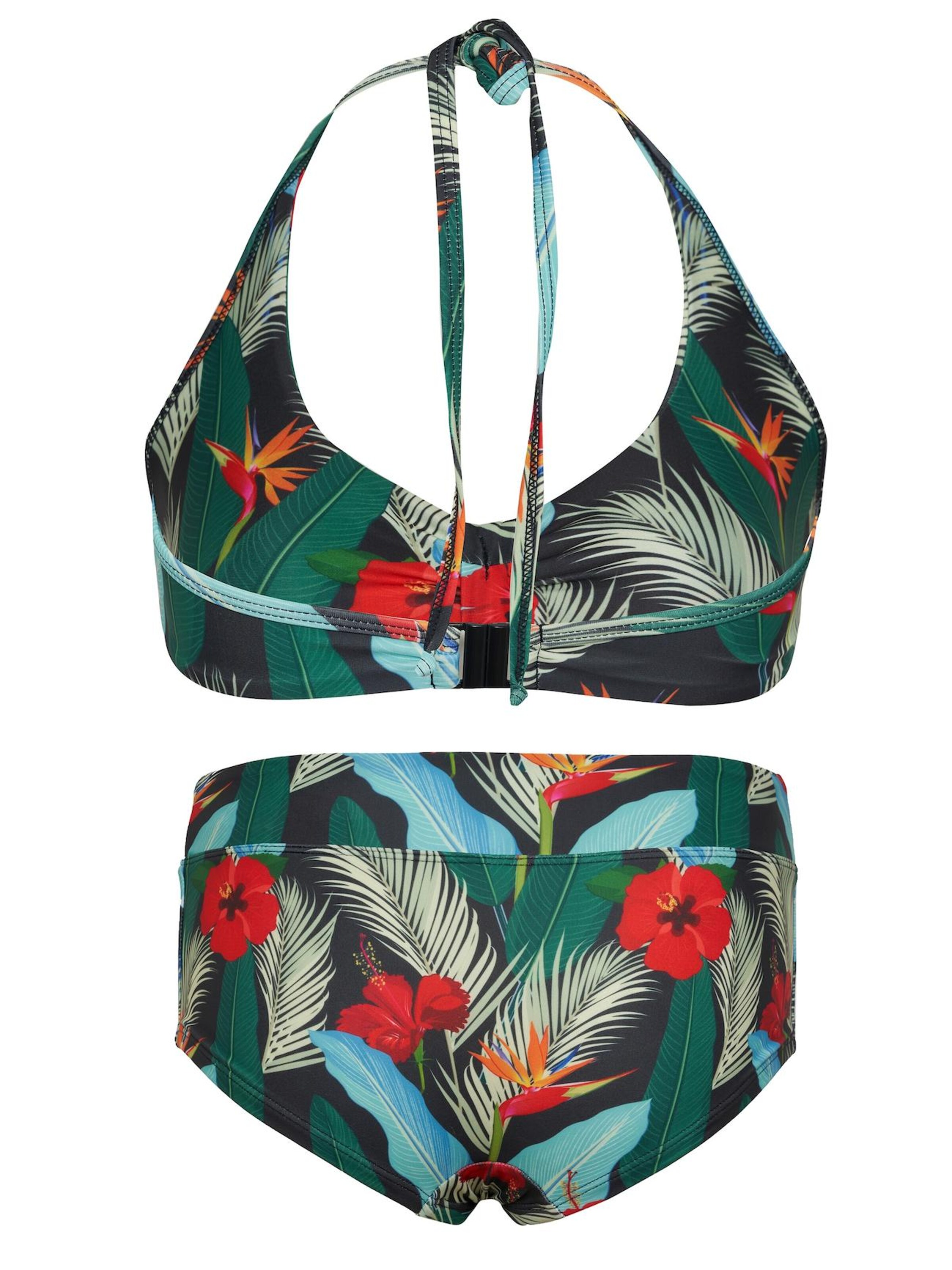 La V Triangel Bikini in Gemengde kleuren