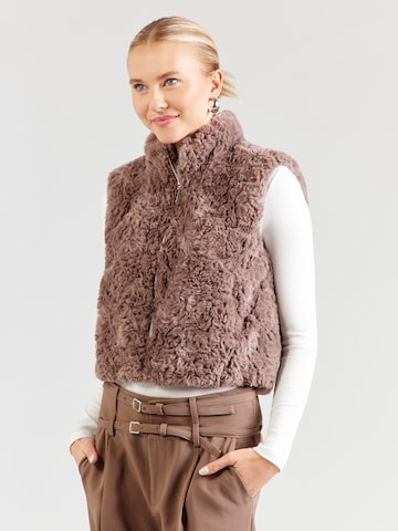 Gilet monari en gris : devant
