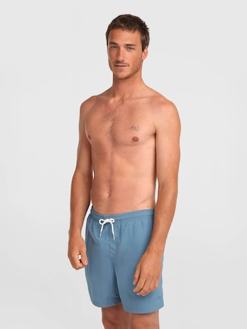 O'NEILL Ujumispüksid 'Vert', värv sinine: eest vaates