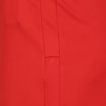 regular Pantaloni sportivi 'Team Goal 23' di PUMA in rosso