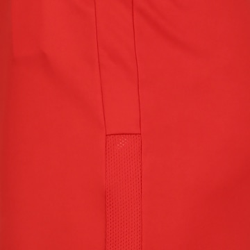 Regular Pantalon de sport 'Team Goal 23' PUMA en rouge