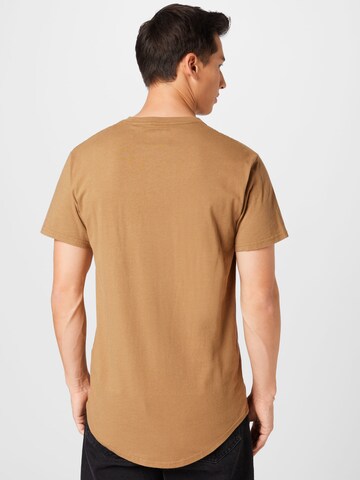 HOLLISTER T-Shirt in Braun