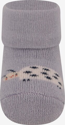 EWERS Socks 'Käfer' in Mixed colors