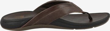 REEF Strandschuh 'Pacific Le' in Braun