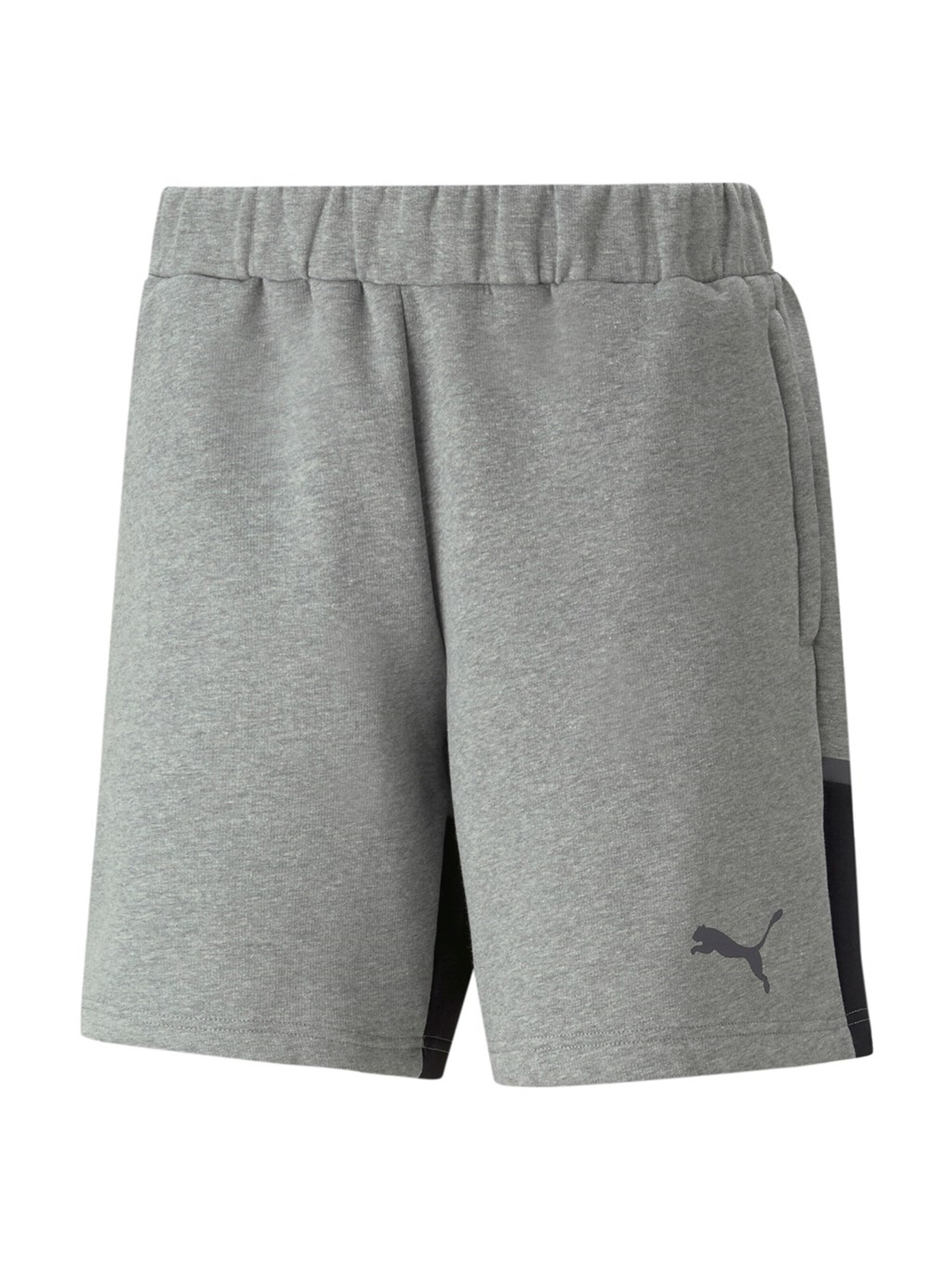 Regular Pantalon de sport 'Team Cup' PUMA en gris : devant