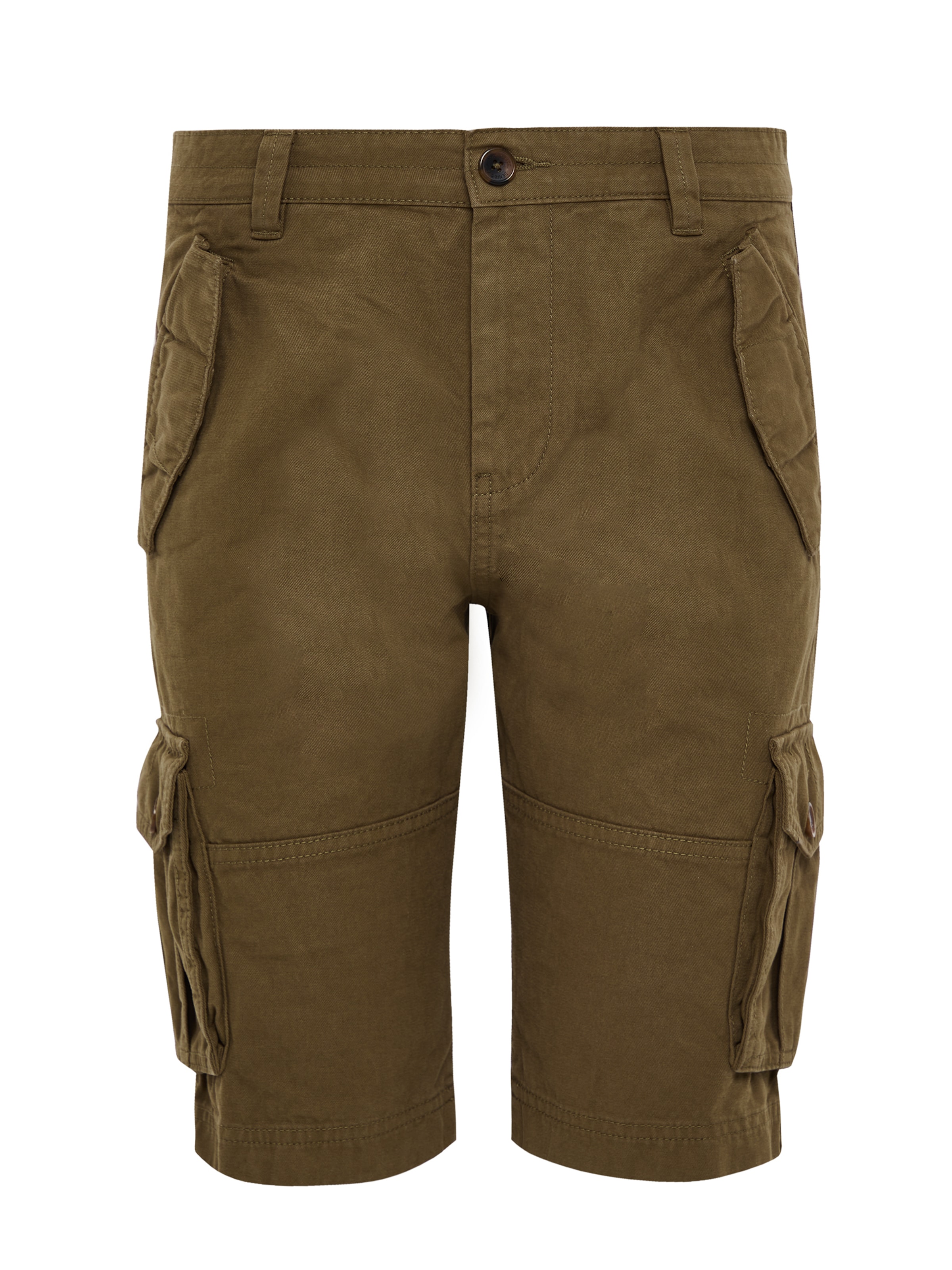 Threadbare Shorts 'Lugo' in Braun: Vorderseite