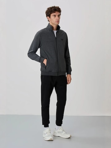 Survêtement Tommy Life en gris : devant