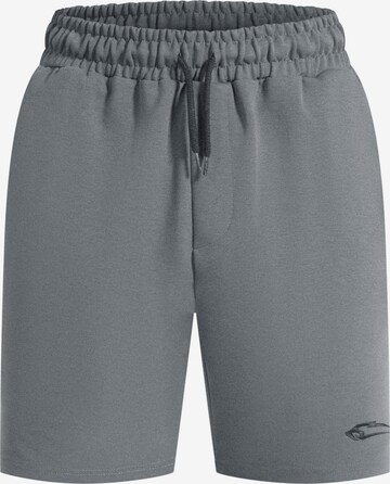 Smilodox Regular Workout Pants 'Nate' in Grey: front