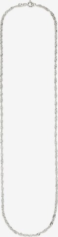 BRUNO BANANI Necklace in Silver: front
