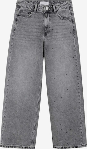 ScalpersLoosefit Traperice 'Jewell' - siva boja: prednji dio