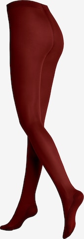Collants 'Warm Up' KUNERT en rouge : devant