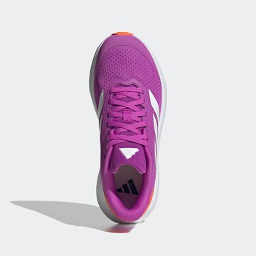 ADIDAS SPORTSWEAR Sneaker in Lila