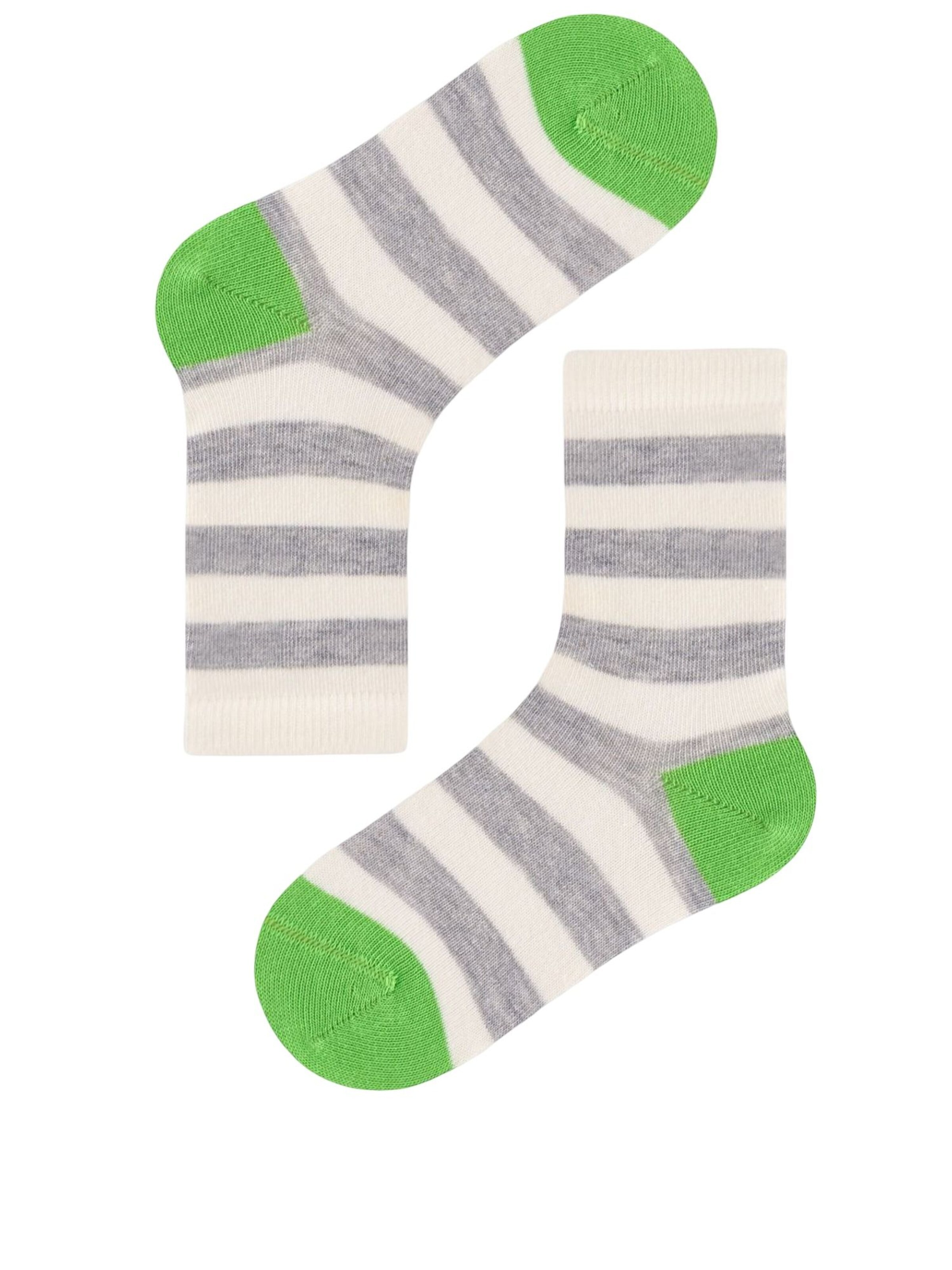 Penti Socken 'PENTI 4er-Pack Jungen Crew-Socken mit Drachen-Dinosaurier-Muster'‌‌‌‌‌‌‌‌‌‌ in Mischfarben