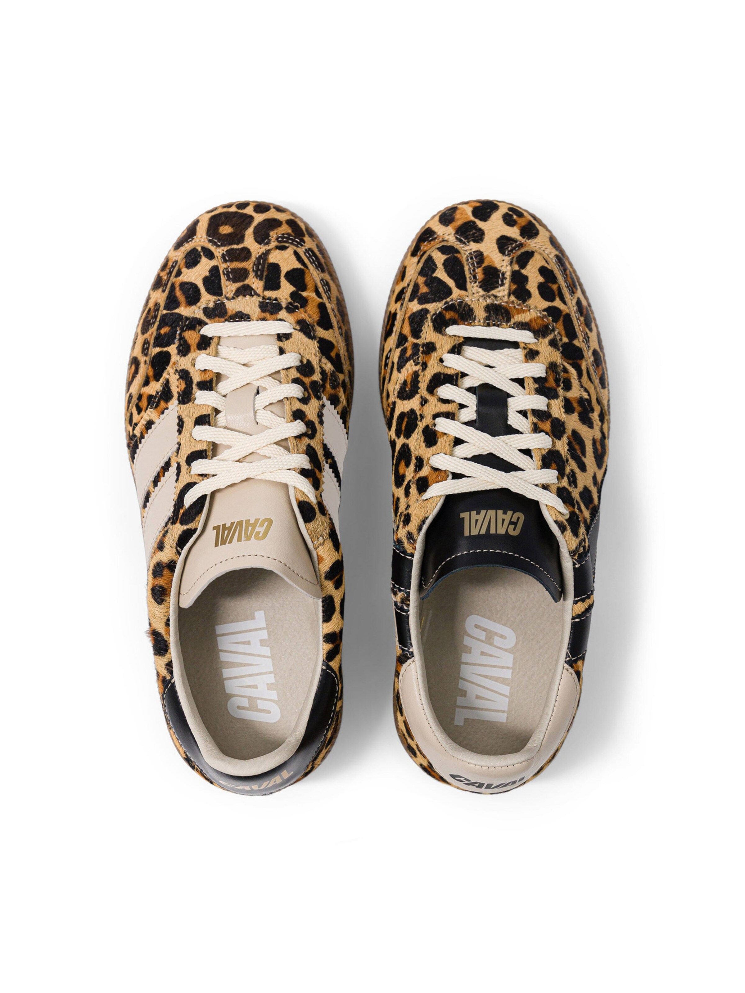 Caval Sneakers ' PULSE ' in Brown