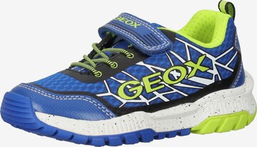 GEOX Sneaker in Blau: predná strana