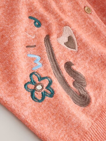 Next Strickjacke in Orange