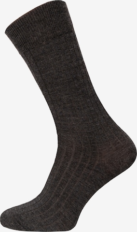 HomeOfSocks Socks 'HOS708' in Grey: front
