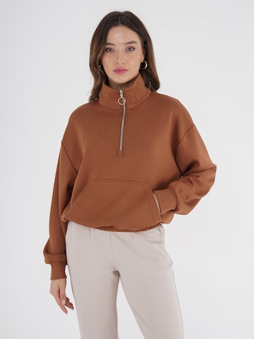 FRESHLIONS Sweatshirt in Brown: front