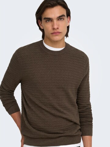 Only & Sons - Jersey 'ONSLoui' en marrón