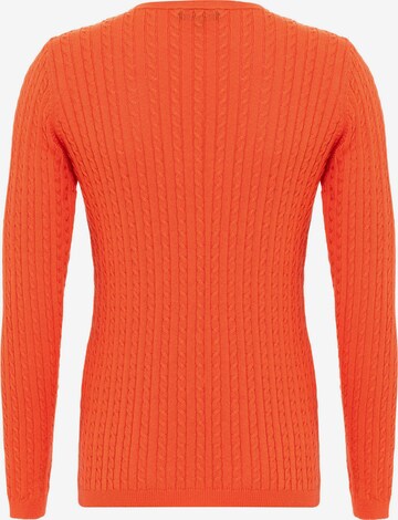 Felix Hardy Pullover i rød