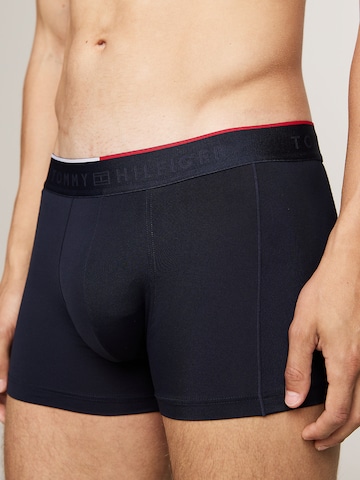 Tommy Hilfiger Underwear Boxer shorts in Blue