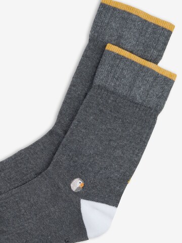 Chaussettes Sokid en gris