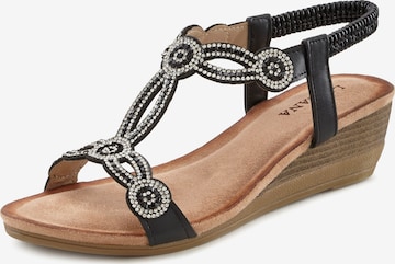 LASCANA - Sandalias en negro: frente