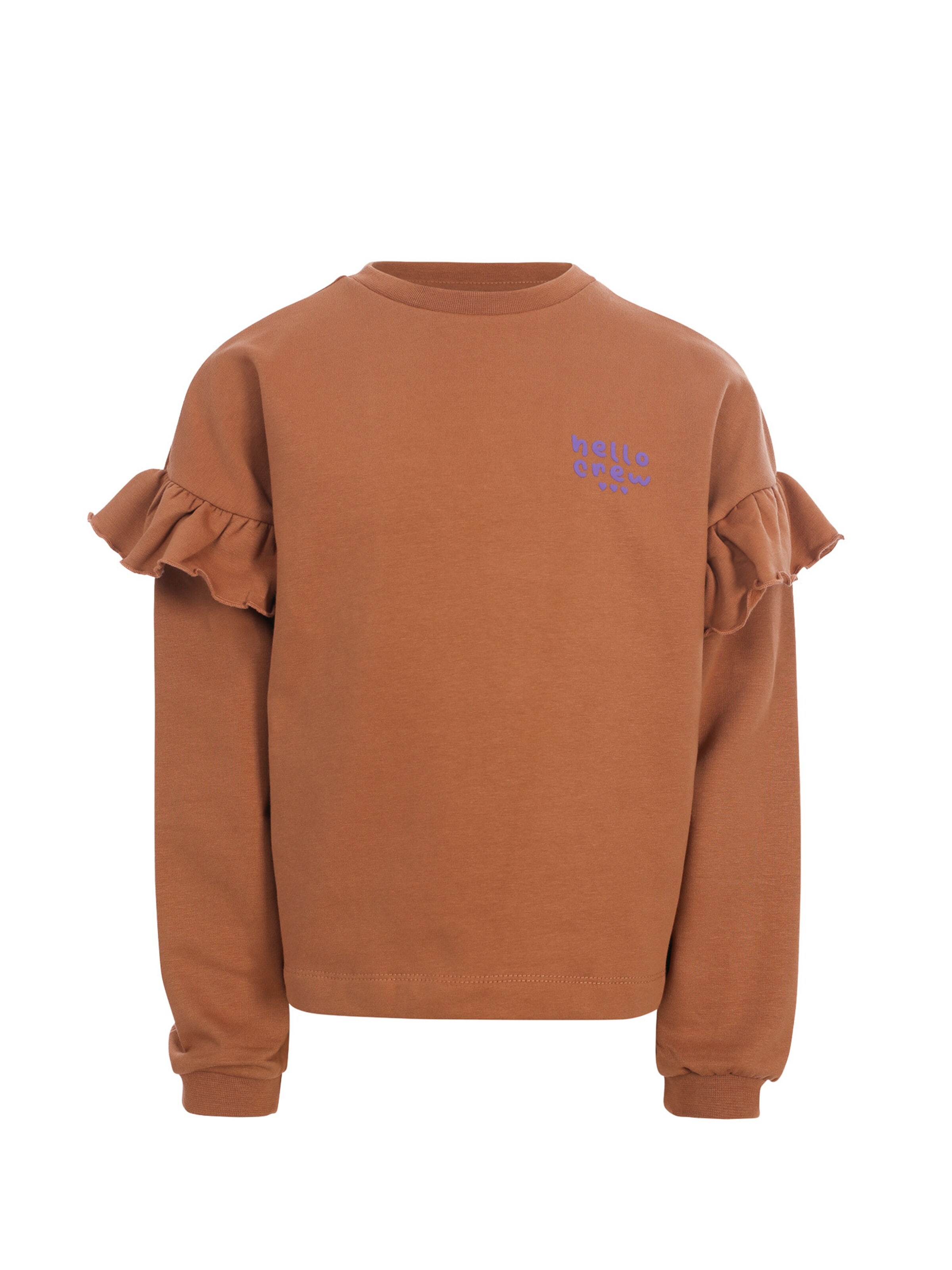 Looxs Revolution Sweatshirt in Bruin: voorkant