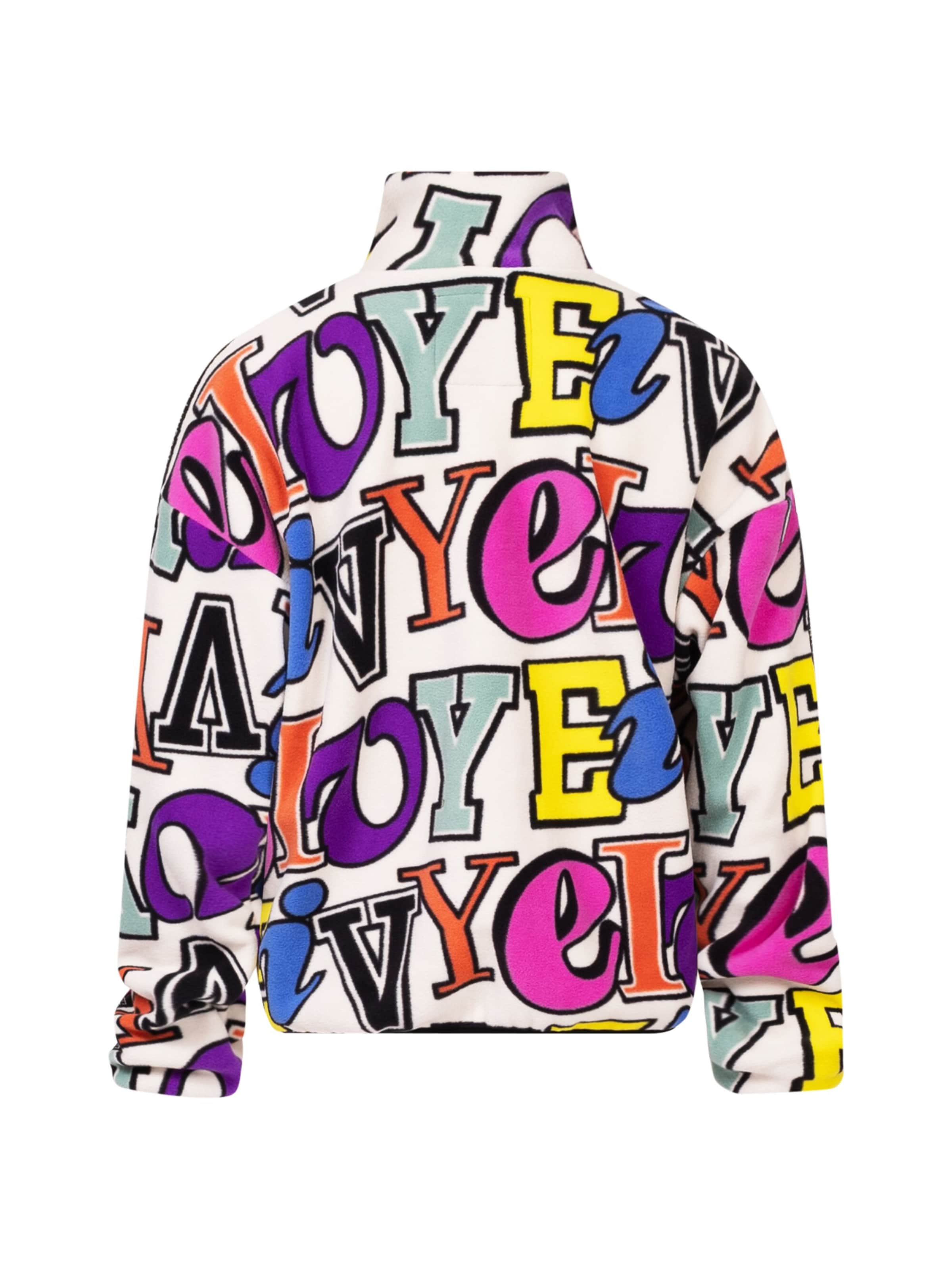 Eivy Athletic Sweater in Mixed colors