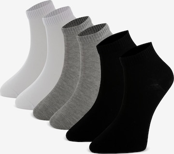 Crea Socks Avokassukat 'Mix' värissä monivärinen: etupuoli
