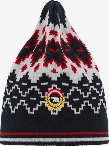 Eisbär Beanie in Mixed colors: front