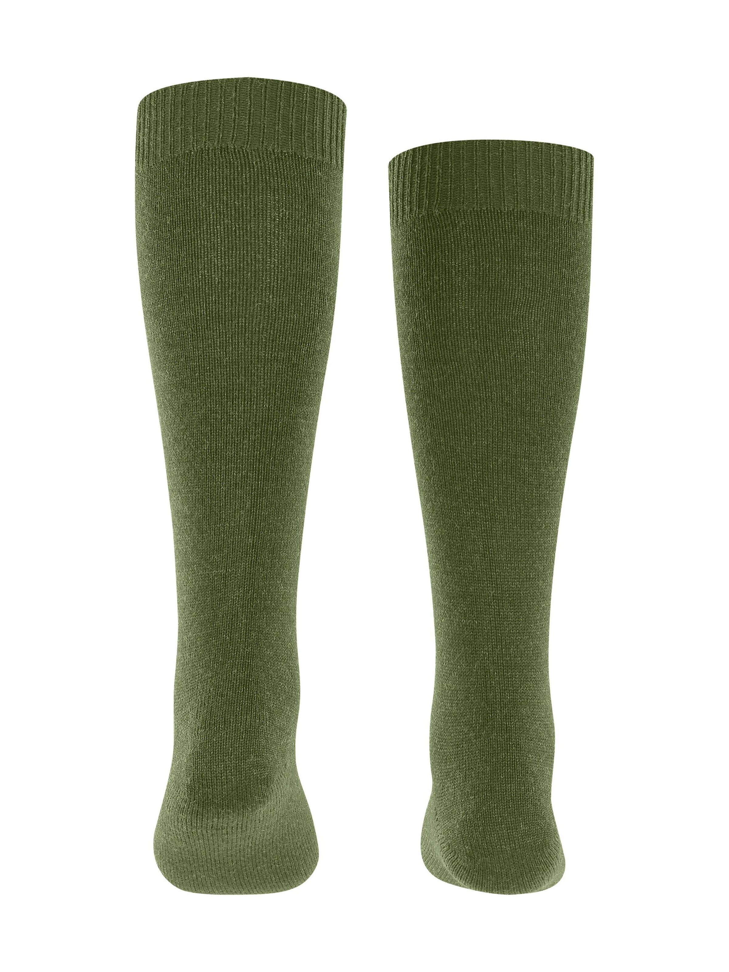 FALKE Socks 'Comfort Wool' in Green
